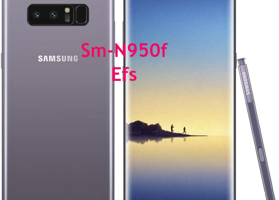 SM-N950F EFS FILE N950FXXSDDTG5