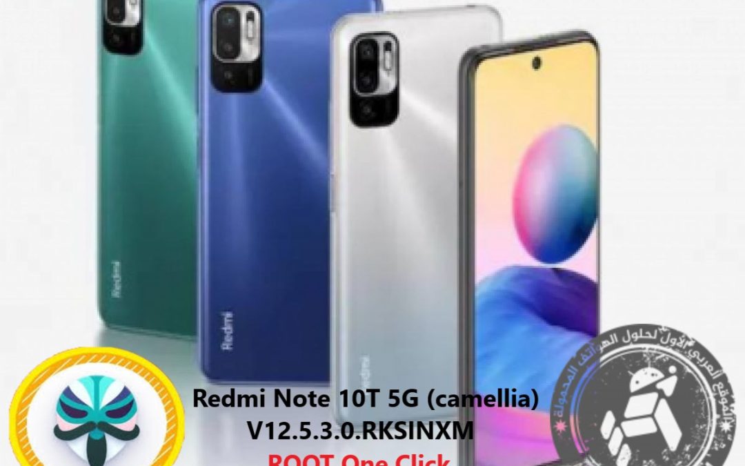 Redmi Note 10T 5G camellia V12.5.3.0.RKSINXM ROOT FILE