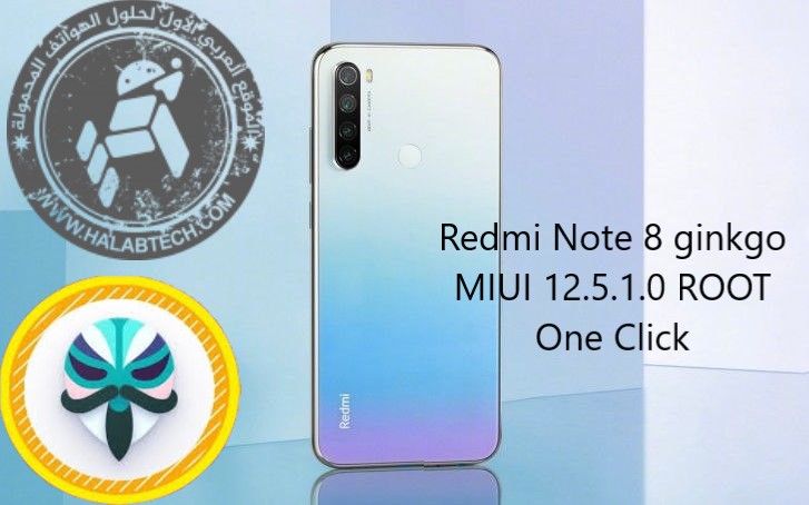 Redmi Note 8 ginkgo MIUI 12.5.1.0 ROOT One Click