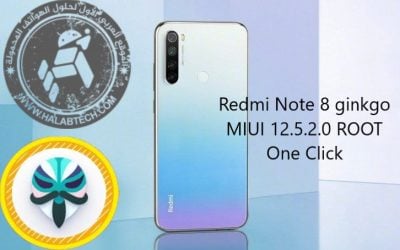 Redmi Note 8 ginkgo MIUI 12.5.2.0 ROOT One Click