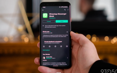 يضيف WhatsApp beta لنظام Android القدرة على إخفاء حالة الاتصال بالإنترنت عن الجميع