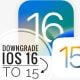 How-to-Downgrade-iOS-16-to-iOS-15 Iphone 8