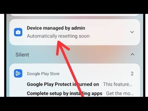 IT Admin